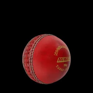 [ลดสุดคุ้ม] Cricket Ball (Gen 3)